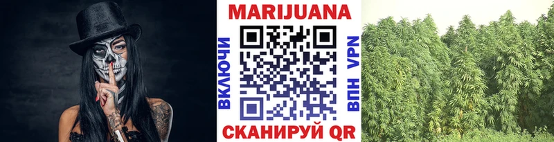 Купить  Сорочинск  Конопля SATIVA & INDICA 